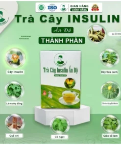 Trà cây Insulin Ấn Độ THIỀU TÀI Trà thảo mộc nước trà tốt cho đường huyết 1 hộp/30 túi lọc