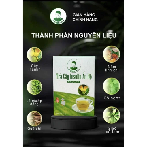Trà cây Insulin Ấn Độ THIỀU TÀI Trà thảo mộc nước trà tốt cho đường huyết 1 hộp/30 túi lọc - Ảnh 5