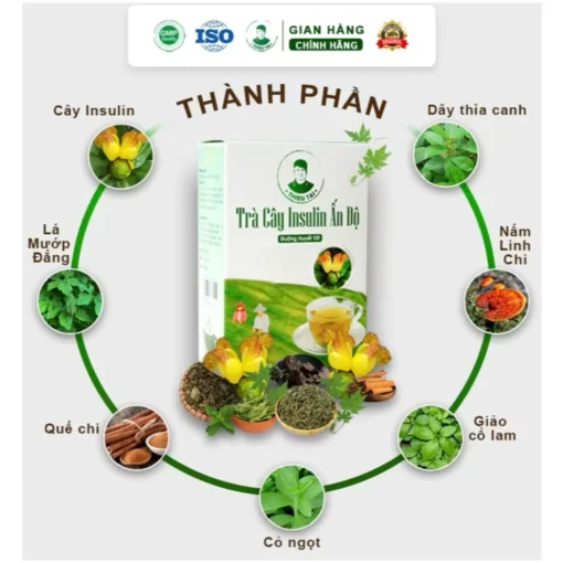 Trà cây Insulin Ấn Độ THIỀU TÀI Trà thảo mộc nước trà tốt cho đường huyết 1 hộp/30 túi lọc - Ảnh 6