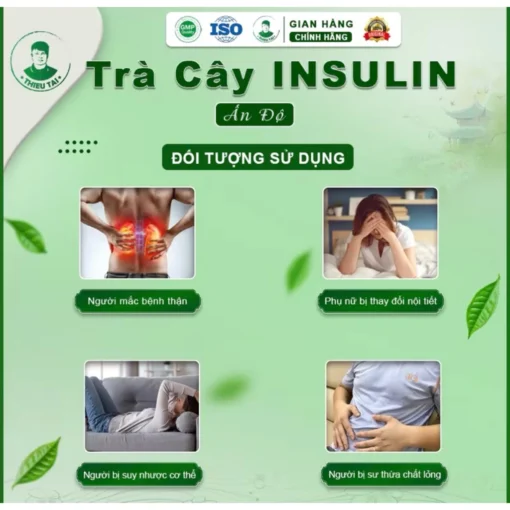 Trà cây Insulin Ấn Độ THIỀU TÀI Trà thảo mộc nước trà tốt cho đường huyết 1 hộp/30 túi lọc - Ảnh 9