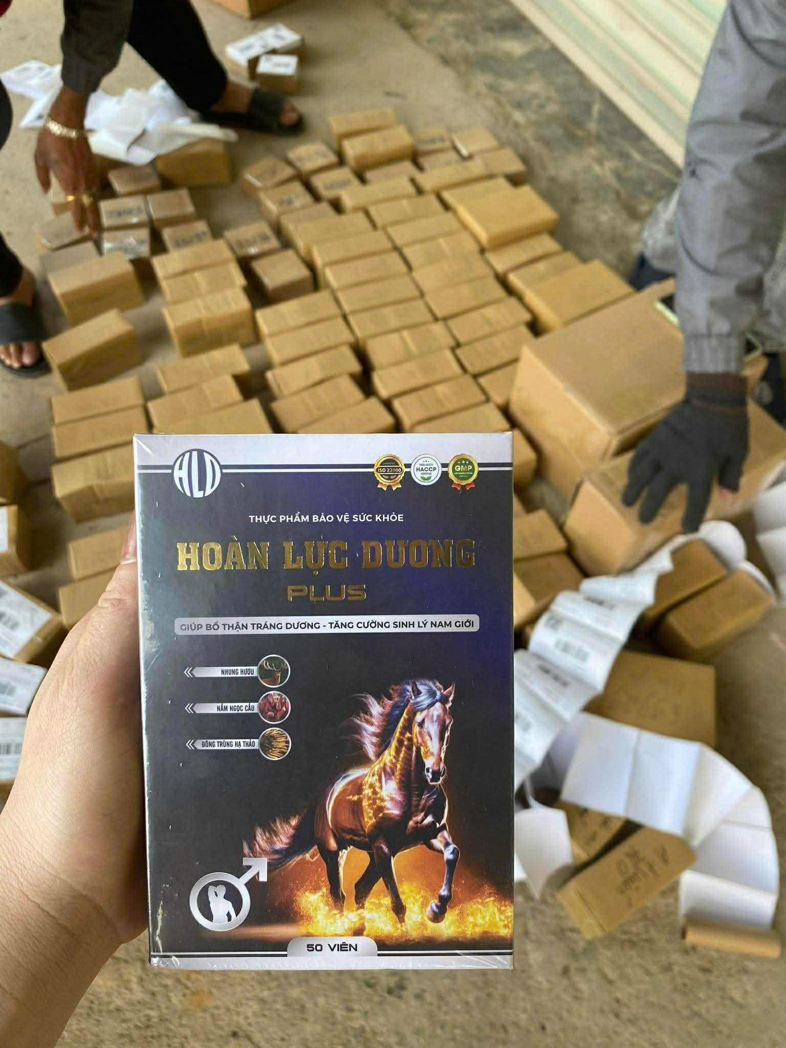 Hoàn Lực Dương Chính Hãng - Ảnh 2