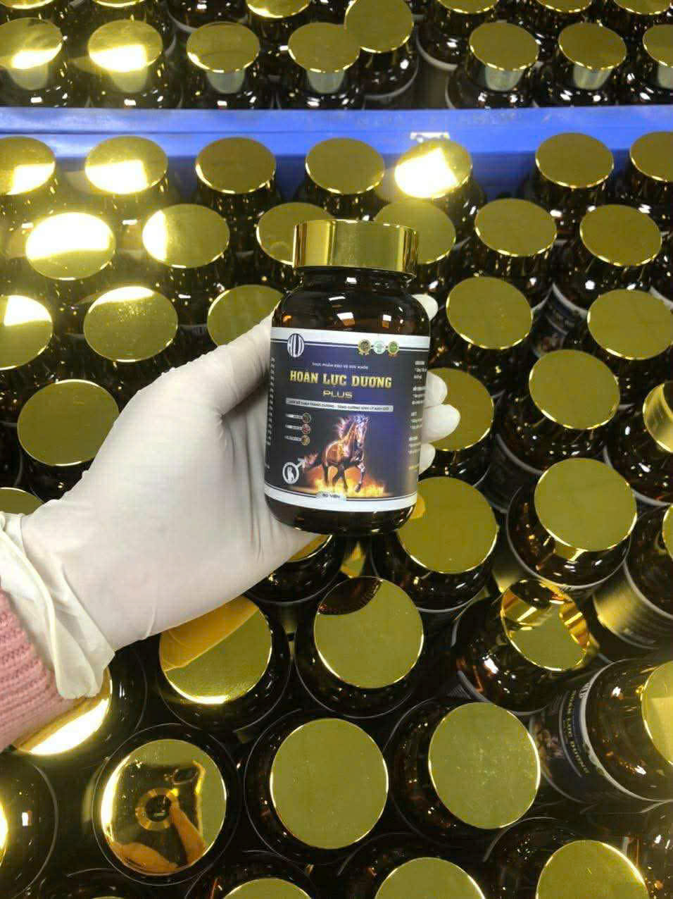 Hoàn Lực Dương Chính Hãng - Ảnh 3
