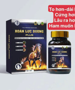 Hoàn Lực Dương Chính Hãng