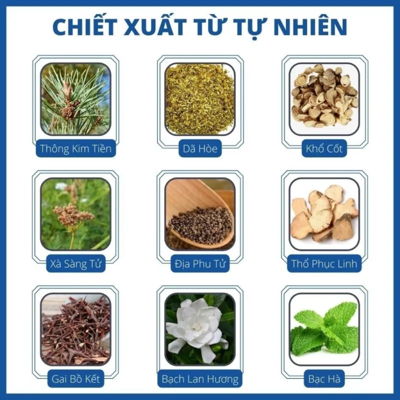 huvang2