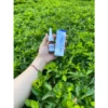 xitxxoang4